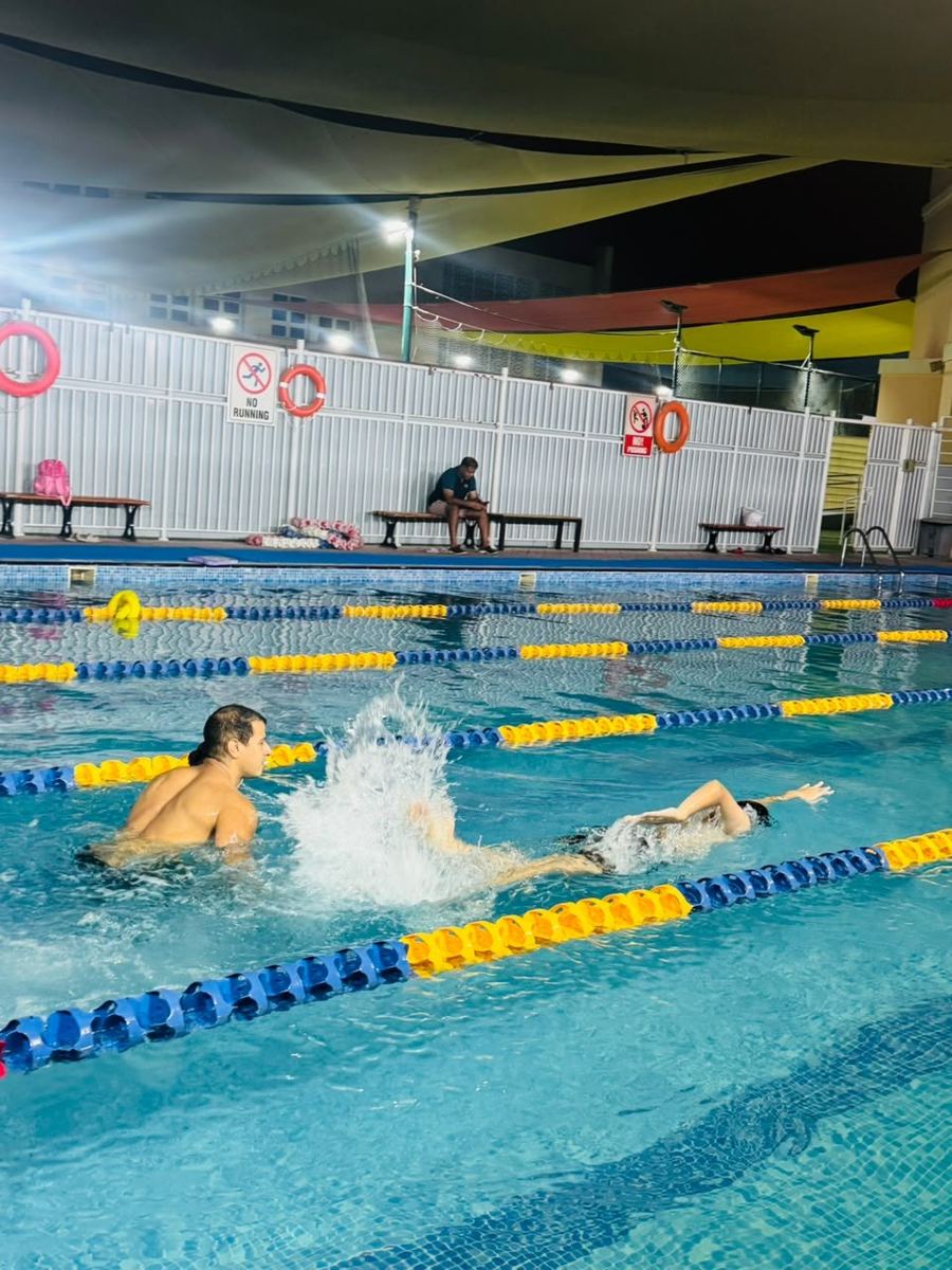 Swimmers training freestyle in pool lanes